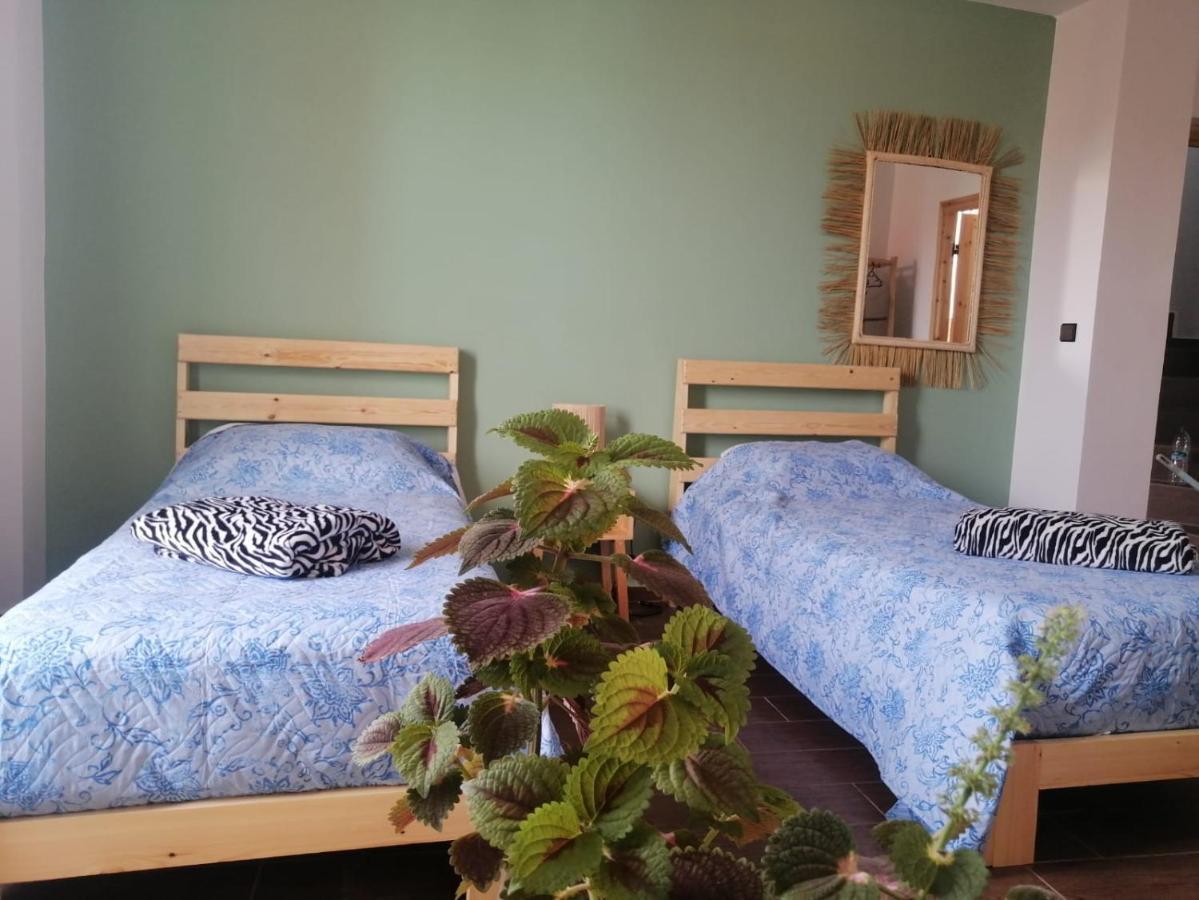 Dar Mouja, Eco-Friendly Home Имсуане Екстериор снимка